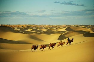 穿越撒哈拉大沙漠记录片