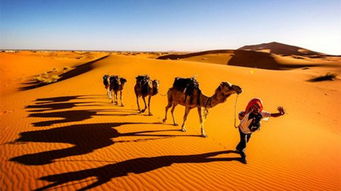 徒步穿越撒哈拉：沙漠之魅与挑战