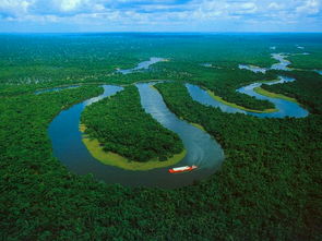 亚马逊丛林在哪个位置